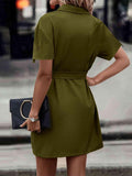 Tie Waist Collared Dress - Trendsi