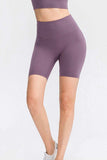 Slim Fit Wide Waistband Sports Shorts - Trendsi - Flyclothing LLC