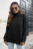 Turtleneck Rib-Knit Sweater - Trendsi - Flyclothing LLC