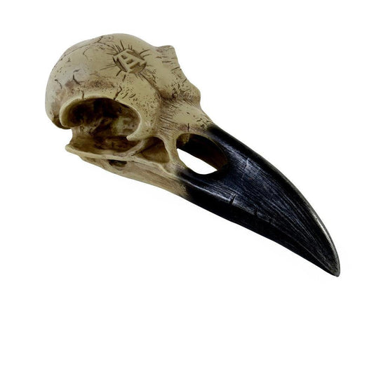 The Vault Corvus Alchemia Skull - Alchemy Gothic