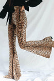 Leopard Print Flare Leg Pants - Trendsi