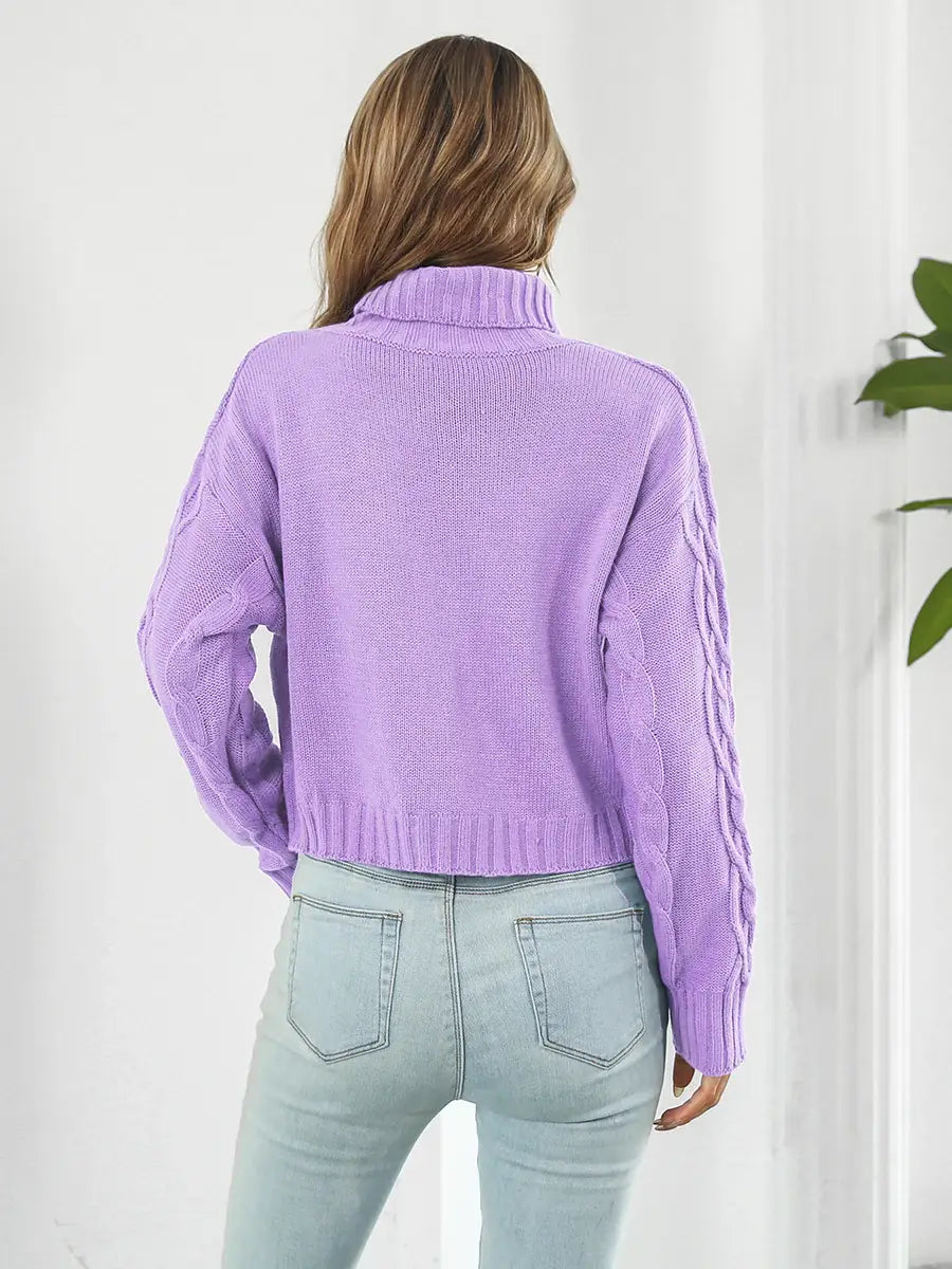 Turtleneck Dropped Shoulder Sweater - Trendsi - Flyclothing LLC