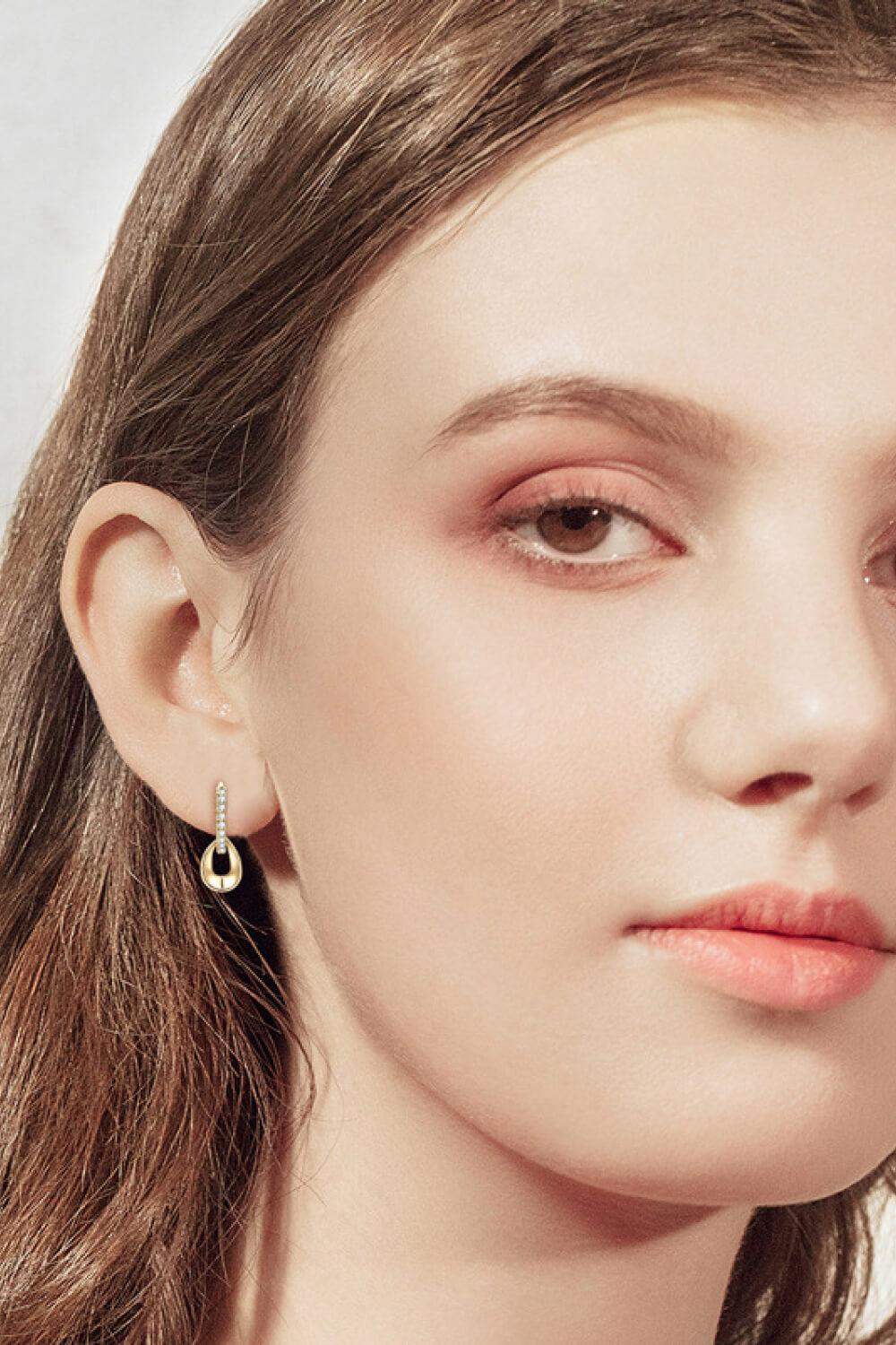 925 Sterling Silver Moissanite Double Hoop Earrings - Trendsi - Flyclothing LLC
