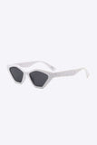 Cat Eye Polycarbonate Sunglasses - Trendsi - Flyclothing LLC