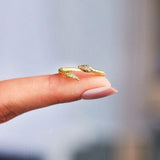 Snake Shape 18K Gold-Plated Bypass Ring - Trendsi