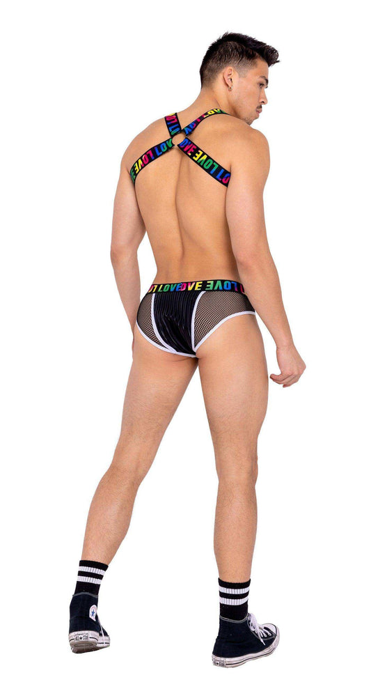Roma Costume Mens Briefs with Fishnet Panel and LOVE Elastic Band - Roma Costume - Flyclothing LLC