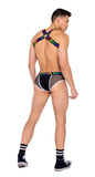 Roma Costume Mens Briefs with Fishnet Panel and LOVE Elastic Band - Roma Costume