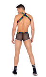 Roma Costume Mens Pride Harness with Suspenders Includes Chain, Lobster Claw Clip, and LOVE Elastic Logo - Flyclothing LLC