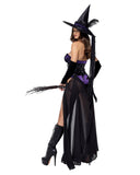 Roma Costume 6173 3PC Dark Spell Seductress - Roma Costume