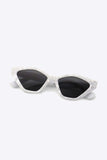 Cat Eye Polycarbonate Sunglasses - Trendsi - Flyclothing LLC