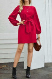Tied Boat Neck Balloon Sleeve Mini Dress - Trendsi - Flyclothing LLC