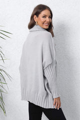 Turtle Neck Long Sleeve Ribbed Sweater - Trendsi - Flyclothing LLC