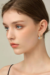 4 Carat Moissanite 925 Sterling Silver Earrings - Trendsi - Flyclothing LLC