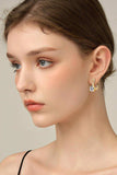 4 Carat Moissanite 925 Sterling Silver Earrings - Trendsi - Flyclothing LLC