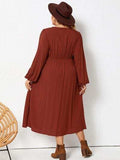 Plus Size Lace Detail V-Neck Balloon Sleeve Dress - Trendsi - Flyclothing LLC