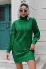 Ribbed Turtle Neck Long Sleeve Mini Sweater Dress - Trendsi