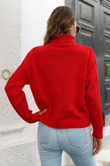 Turtleneck Long Sleeve Sweater - Trendsi - Flyclothing LLC
