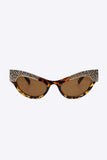 UV400 Rhinestone Trim Cat-Eye Sunglasses - Trendsi - Flyclothing LLC