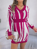 Animal Print V-Neck Long Sleeve Sweater Dress - Trendsi