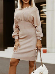 Round Neck Lantern Sleeve Dress - Trendsi