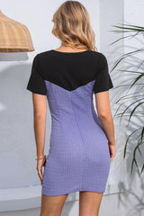 Round Neck Two-Tone Mini Dress - Trendsi
