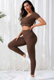 V-Neck Crop Top and High Waistband Long Active Pants - Trendsi - Flyclothing LLC