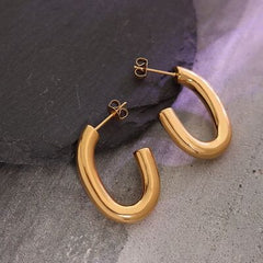 Titanium Steel Gold-Plated Earrings - Flyclothing LLC