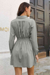 Johnny Collar Smocked Waist Long Sleeve Mini Dress - Trendsi - Flyclothing LLC