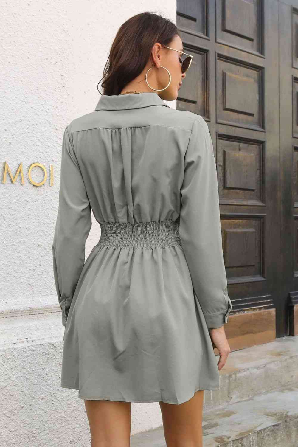 Johnny Collar Smocked Waist Long Sleeve Mini Dress - Trendsi - Flyclothing LLC