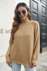 Turtleneck Rib-Knit Sweater - Trendsi - Flyclothing LLC