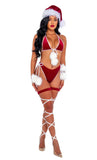 Roma Costume 2pc Santas Holiday Spirit Bikini - Roma Costume
