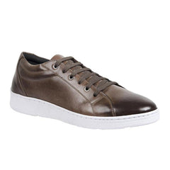 Sandro Moscoloni Bravo Brown Perfed toe six eyelet sneakers - Sandro Moscoloni