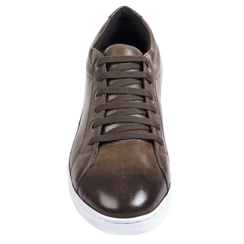 Sandro Moscoloni Bravo Brown Perfed toe six eyelet sneakers - Sandro Moscoloni