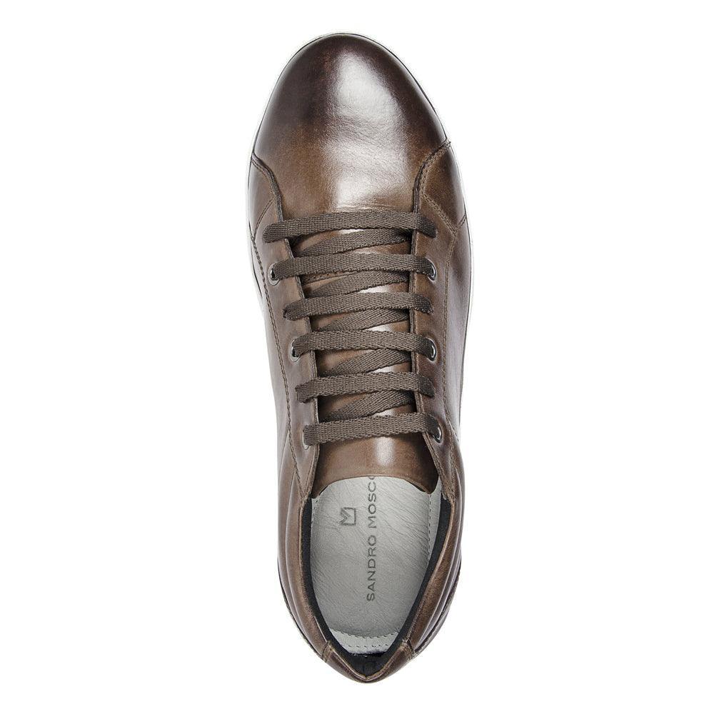 Sandro Moscoloni Bravo Brown Perfed toe six eyelet sneakers - Sandro Moscoloni