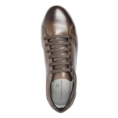 Sandro Moscoloni Bravo Brown Perfed toe six eyelet sneakers - Sandro Moscoloni