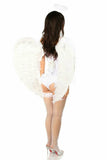 Daisy Corsets Top Drawer 4 PC Sweet Angel Corset Costume - Daisy Corsets