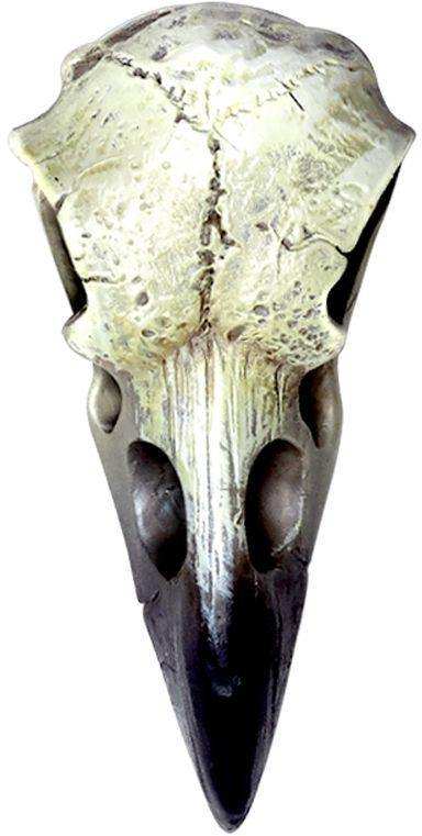The Vault Reliquary Raven Skull - Alchemy Gothic - Flyclothing LLC