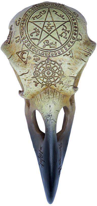The Vault Omega Raven Skull - Alchemy Gothic - Flyclothing LLC