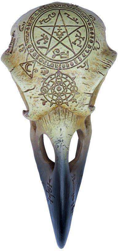 The Vault Omega Raven Skull - Alchemy Gothic - Flyclothing LLC