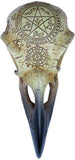 The Vault Omega Raven Skull - Alchemy Gothic - Flyclothing LLC