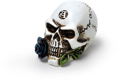 The Vault Alchemist Skull Miniature - Flyclothing LLC