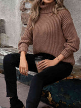 Turtleneck Rib-Knit Sweater - Trendsi - Flyclothing LLC