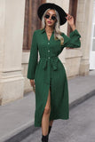Texture Tied Collared Neck Button Front Dress - Trendsi