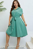 Buttoned Tie-Waist Shirt Dress - Trendsi