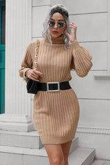Ribbed Turtle Neck Long Sleeve Mini Sweater Dress - Trendsi
