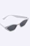 Cat Eye Polycarbonate Sunglasses - Trendsi - Flyclothing LLC