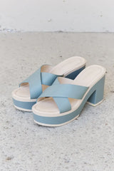 Weeboo Cherish The Moments Contrast Platform Sandals in Misty Blue - Trendsi - Flyclothing LLC