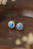 Opal 4-Prong Round Stud Earrings - Trendsi - Flyclothing LLC