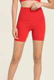 Seamless High-Rise Wide Waistband Biker Shorts - Trendsi
