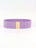 Alloy Buckle Elastic Belt - Trendsi - Flyclothing LLC